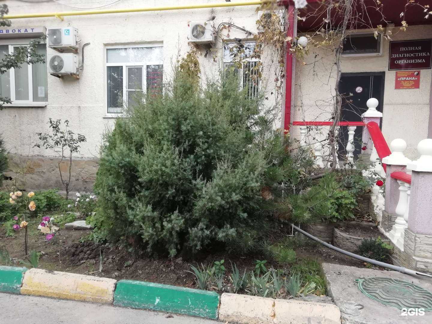 Отзывы на компанию Прана в г. Новороссийск c фото