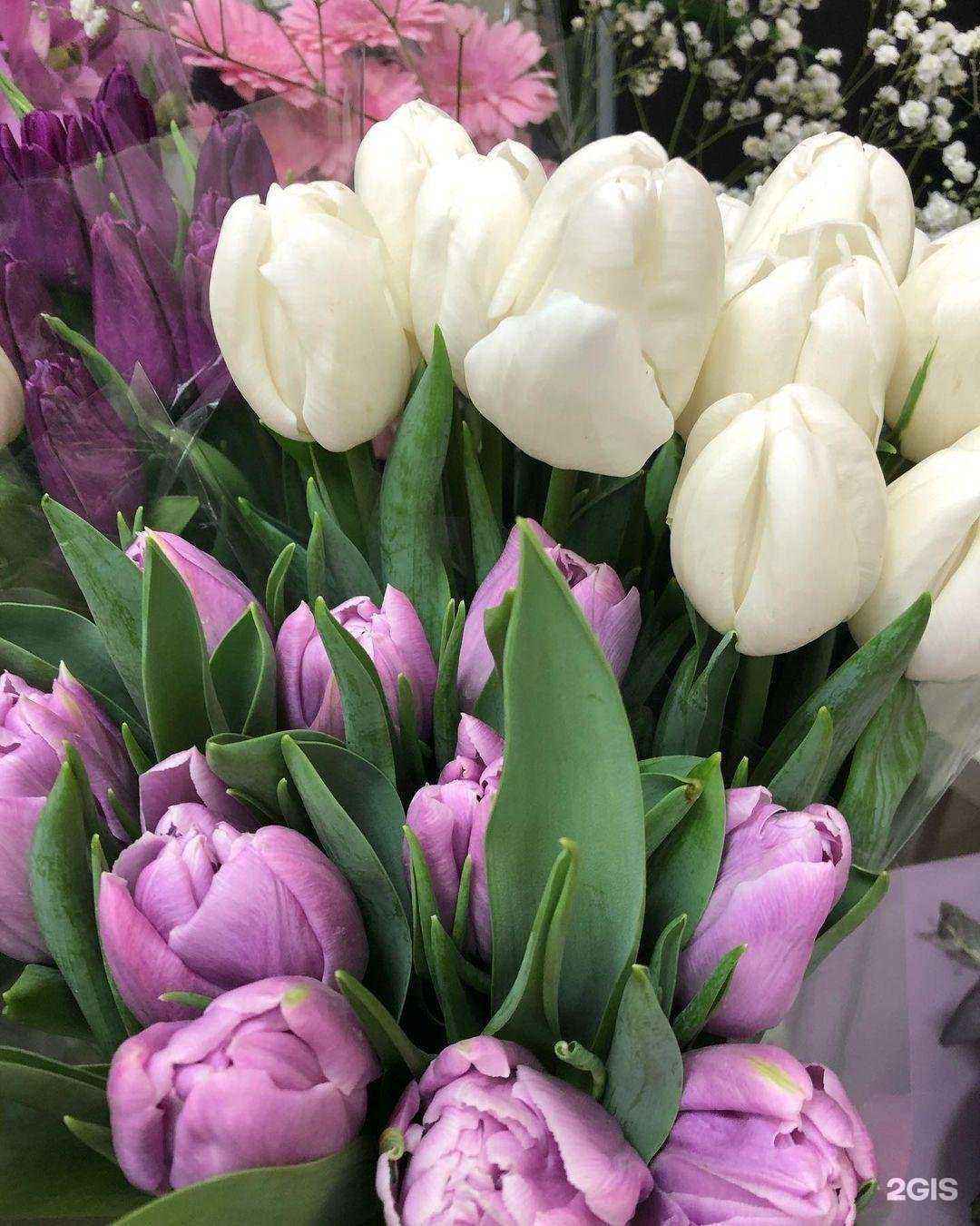 Отзывы на компанию Crocus в г. Краснодар c фото