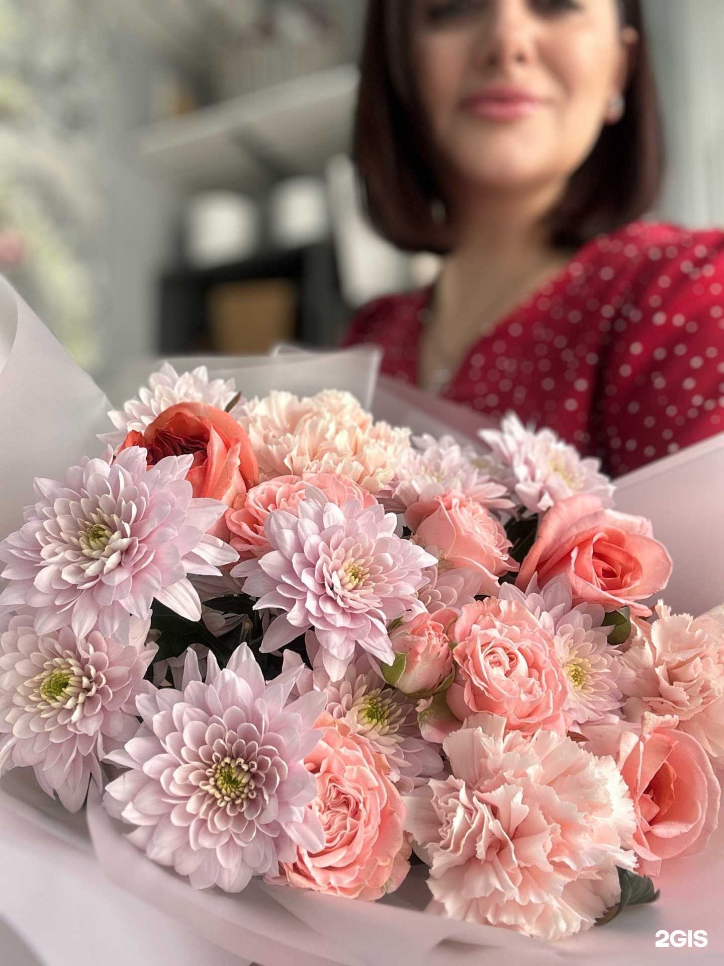 Отзывы на компанию Lily в Сочи c фото