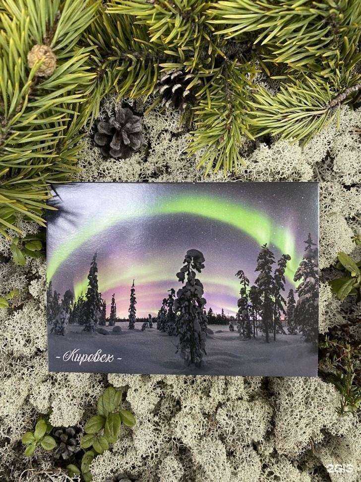 Отзывы на компанию Футболка 51 в г. Кировск c фото