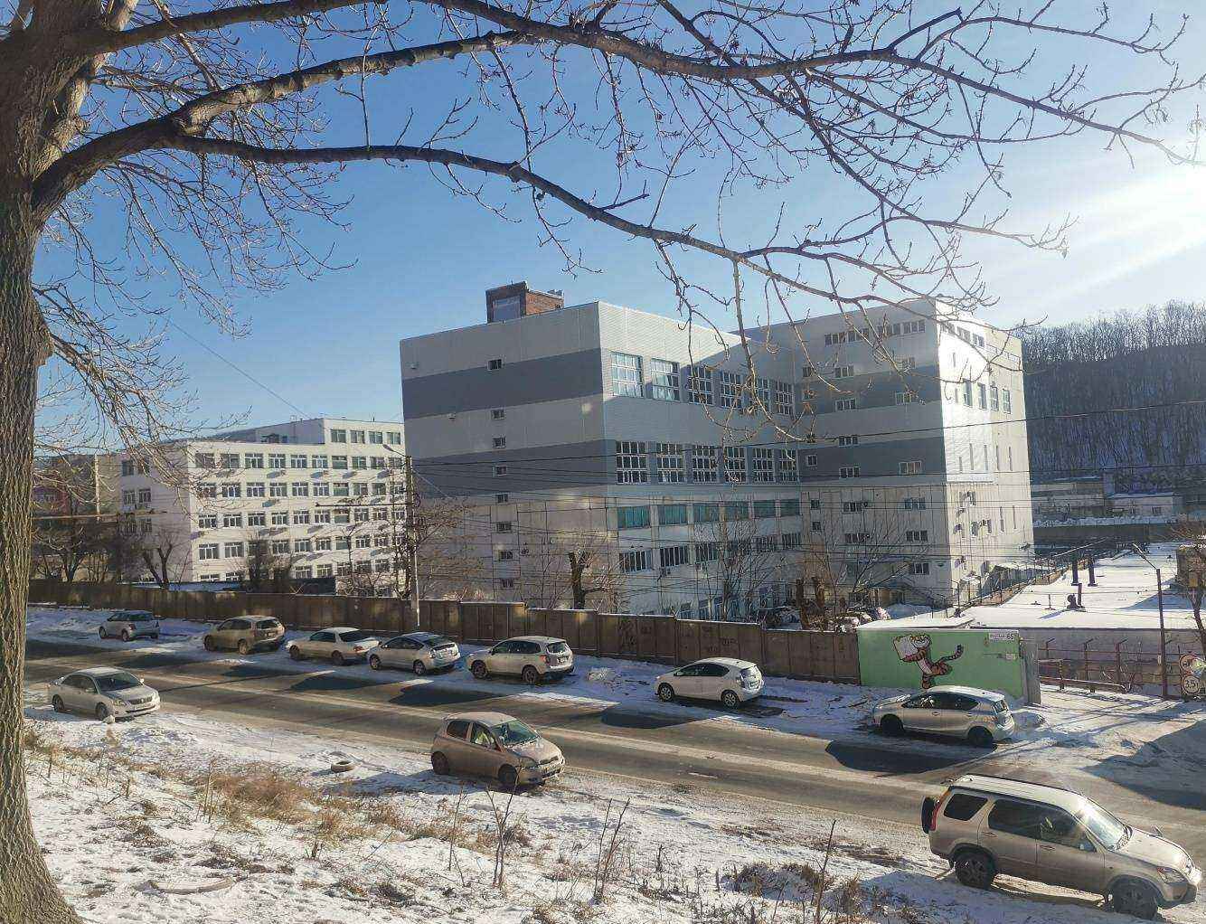 Отзывы на компанию New school в Владивостоке c фото - фотография 2 из 2