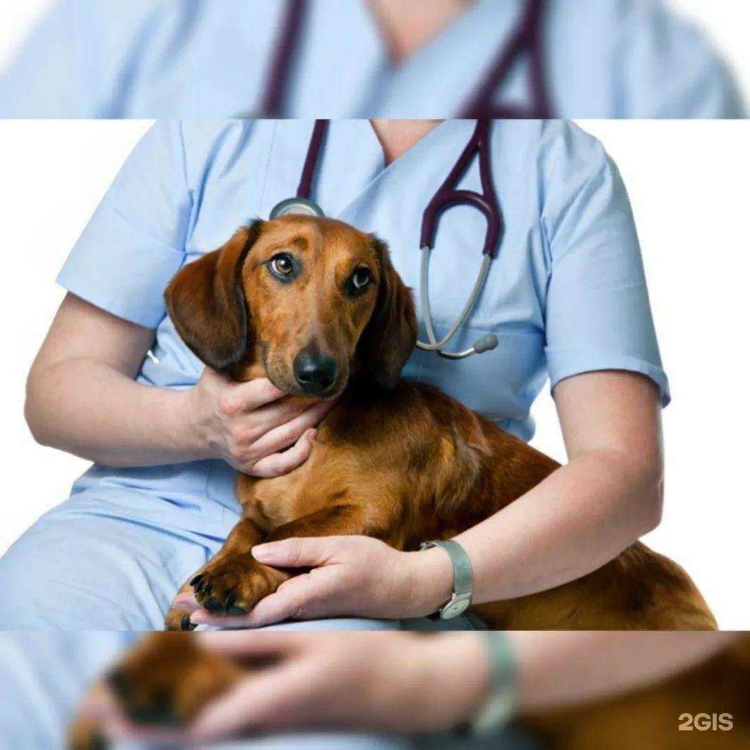 Отзывы на компанию Био-Люкс в Рубцовске c фото