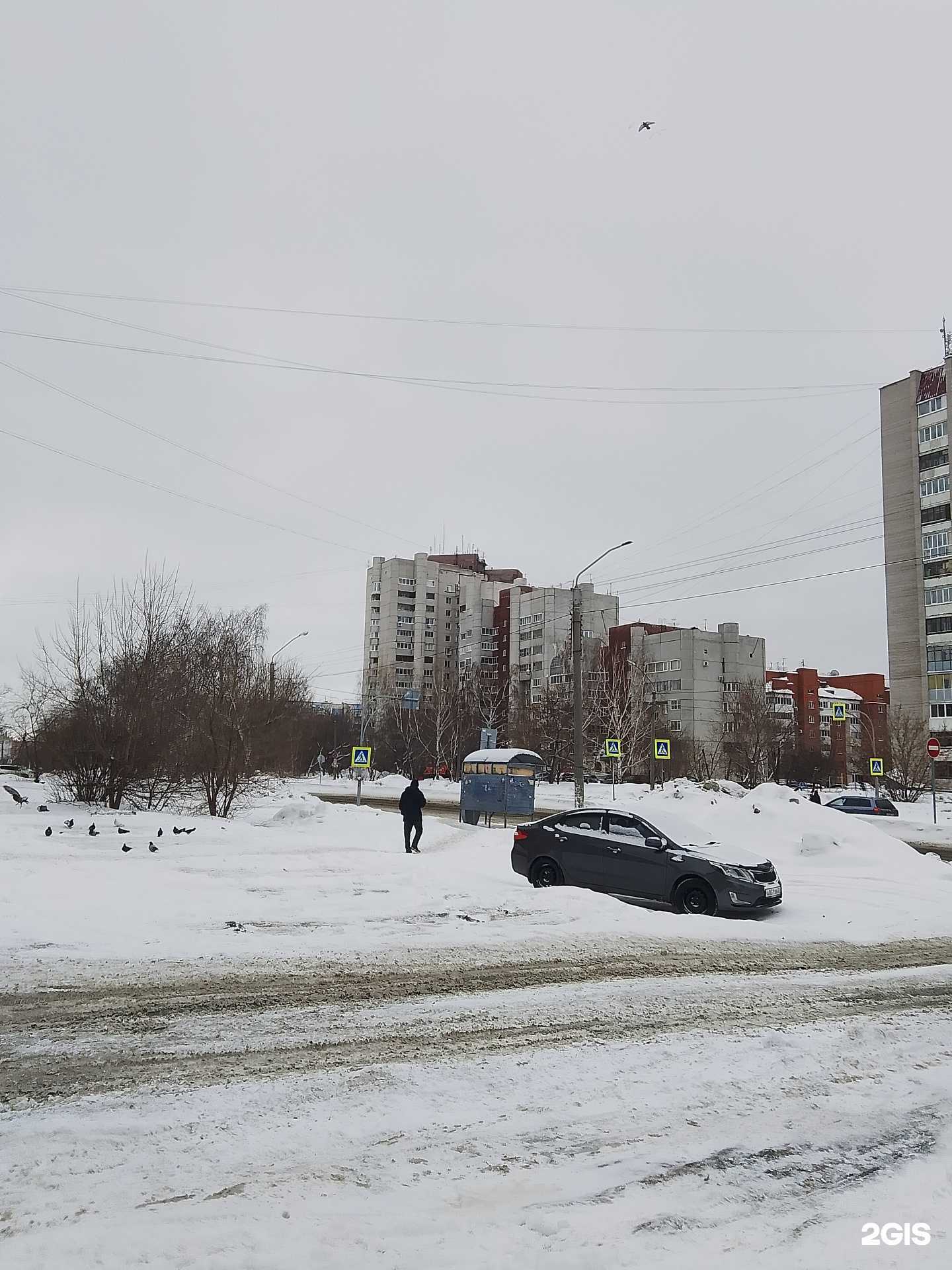 Отзывы на компанию Карапуз в Барнауле c фото - фотография 2 из 2
