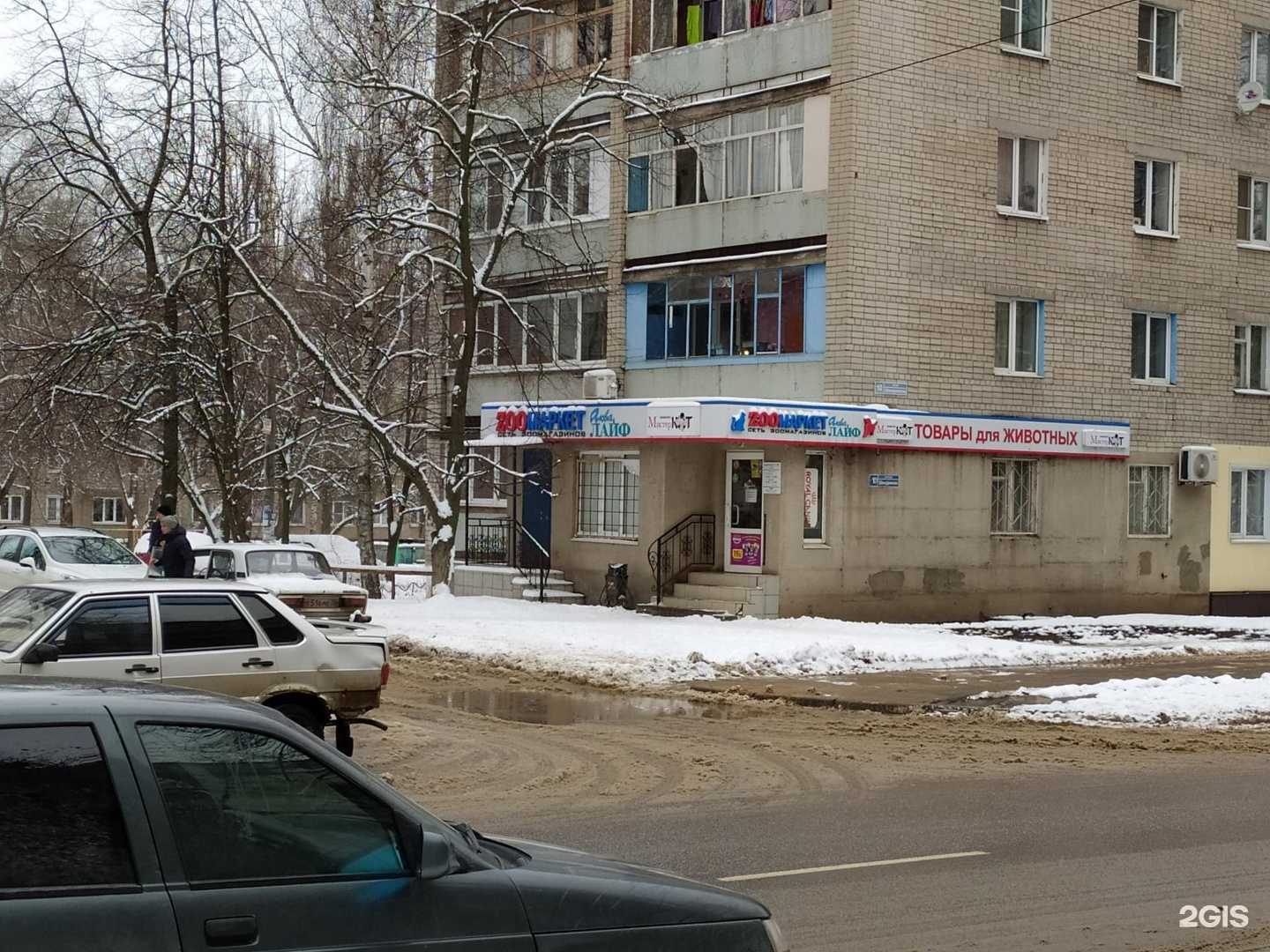 Отзывы на компанию Мистер Кот в г. Воронеж c фото