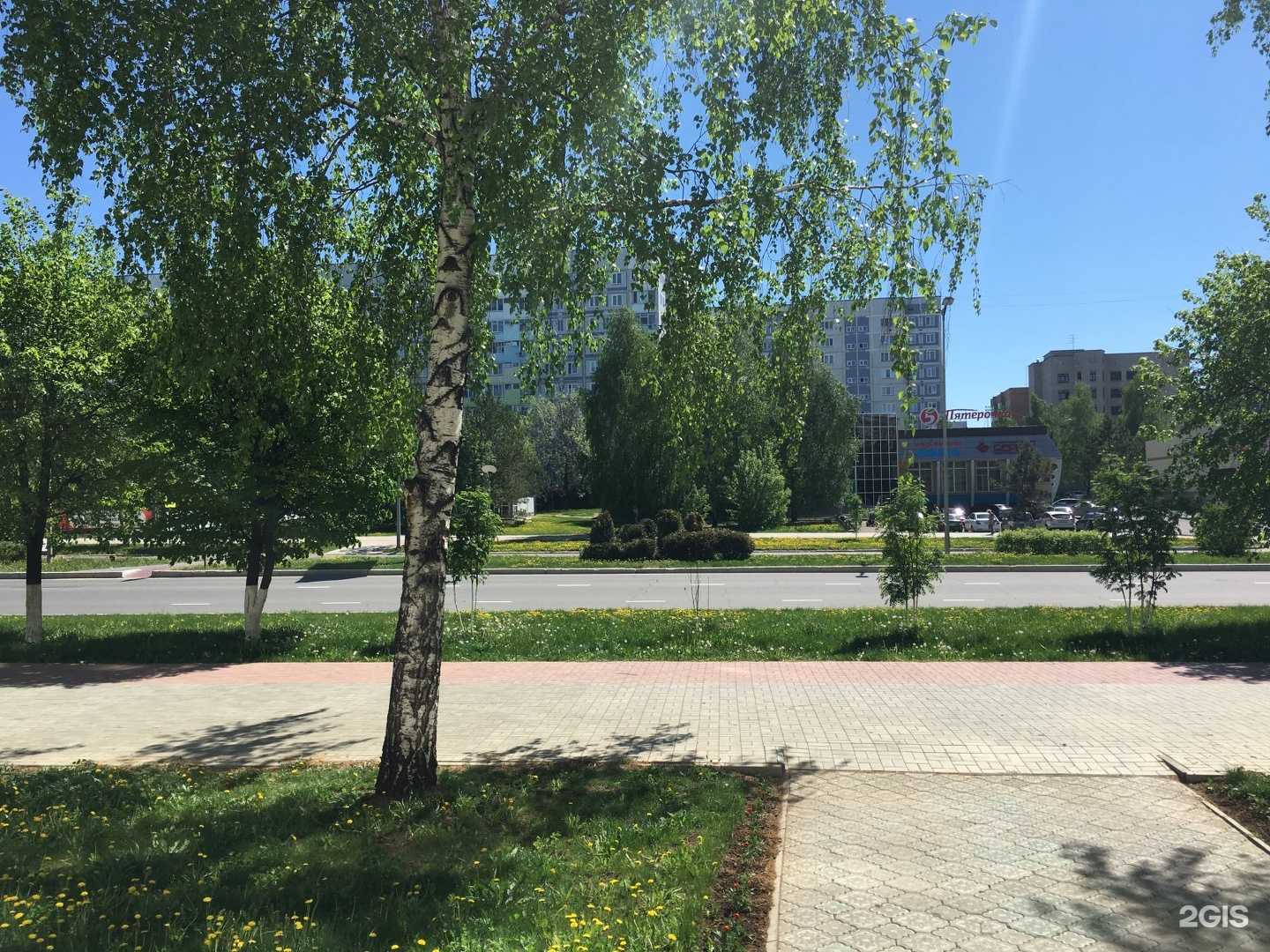 Отзывы на компанию Экзотика в Нижнекамске c фото