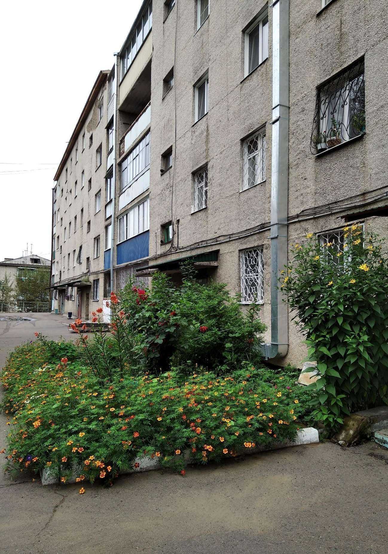 Отзывы на компанию Мокрый нос в Чите c фото - фотография 2 из 2