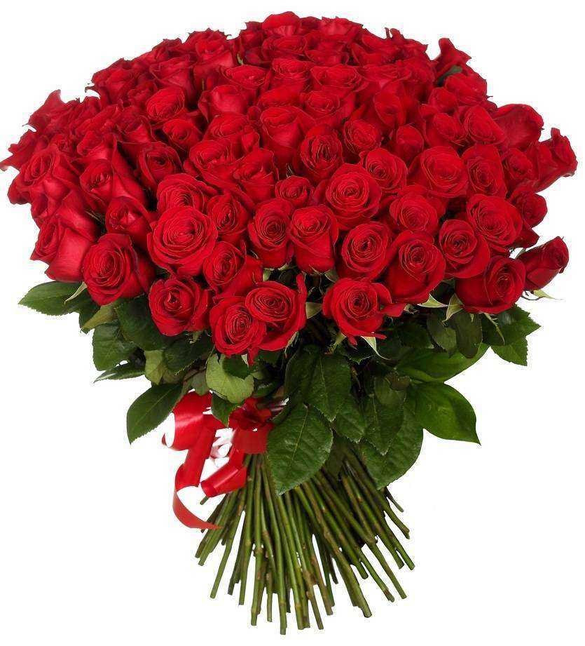 Отзывы на компанию Красрозы в г. Красноярск c фото