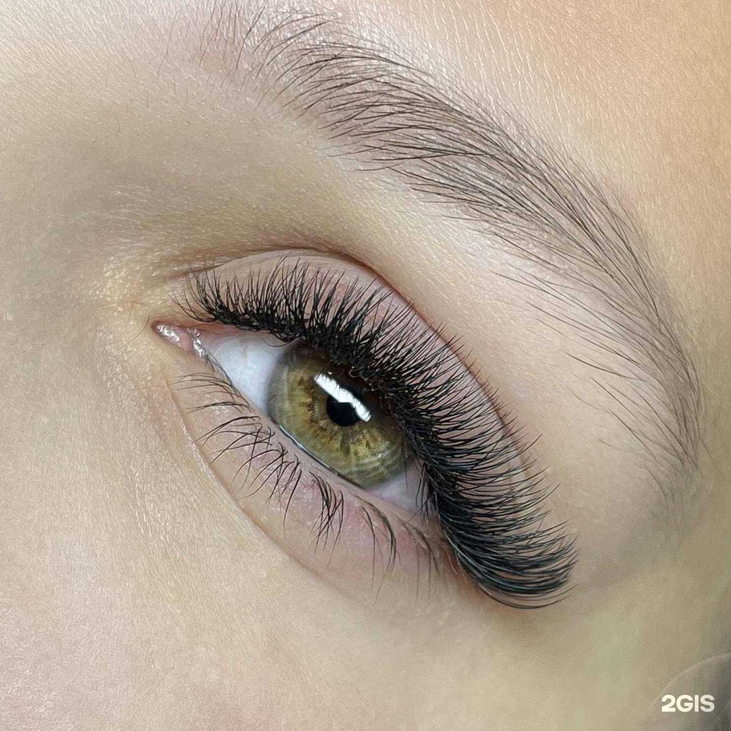 Отзывы на компанию Focus Lash в Ставрополе c фото