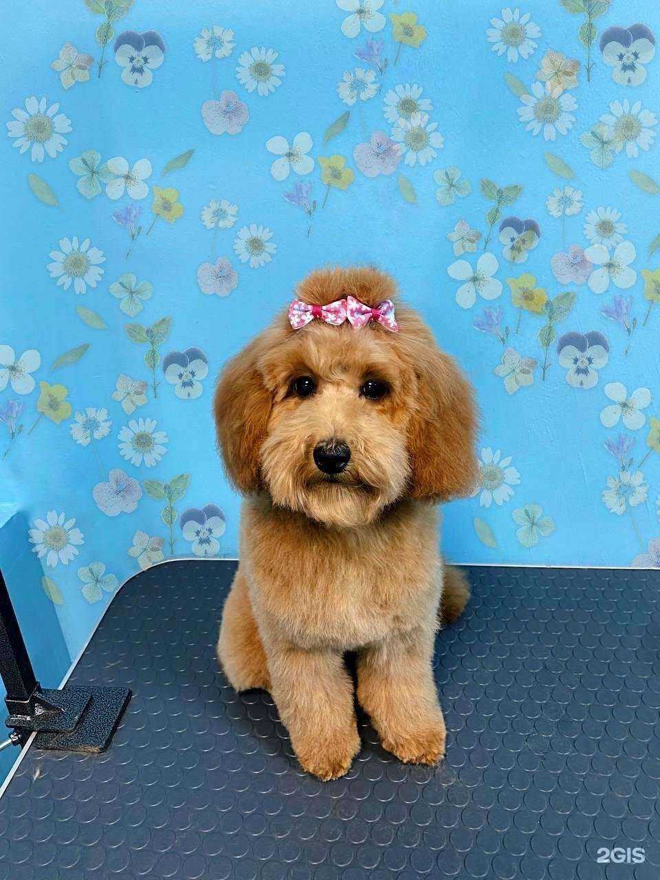 Отзывы на компанию Лорелея в г. Новосибирск c фото