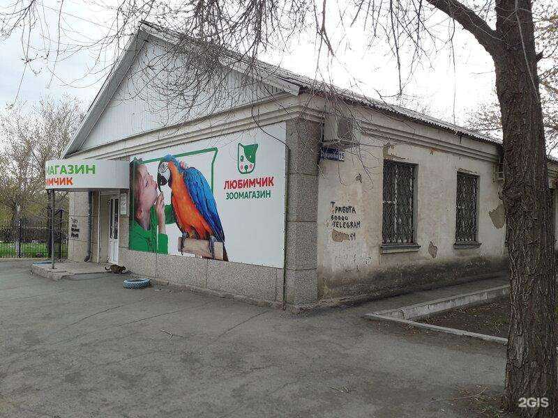 Отзывы на компанию Любимчик в г. Орск c фото