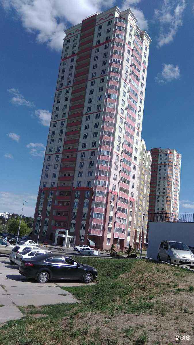 Отзывы на компанию Сила в Ростове-на-Дону c фото - фотография 2 из 2