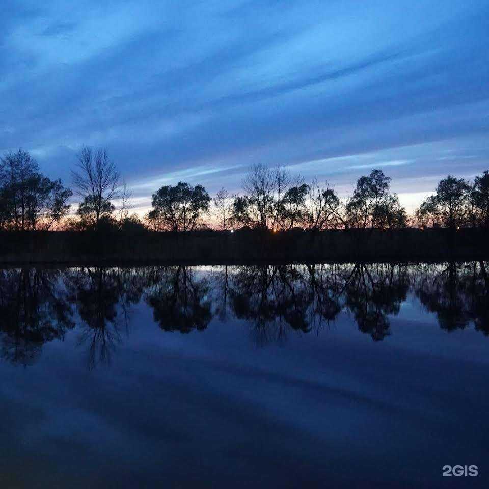 Отзывы на компанию Орто форма в г. Воронеж c фото