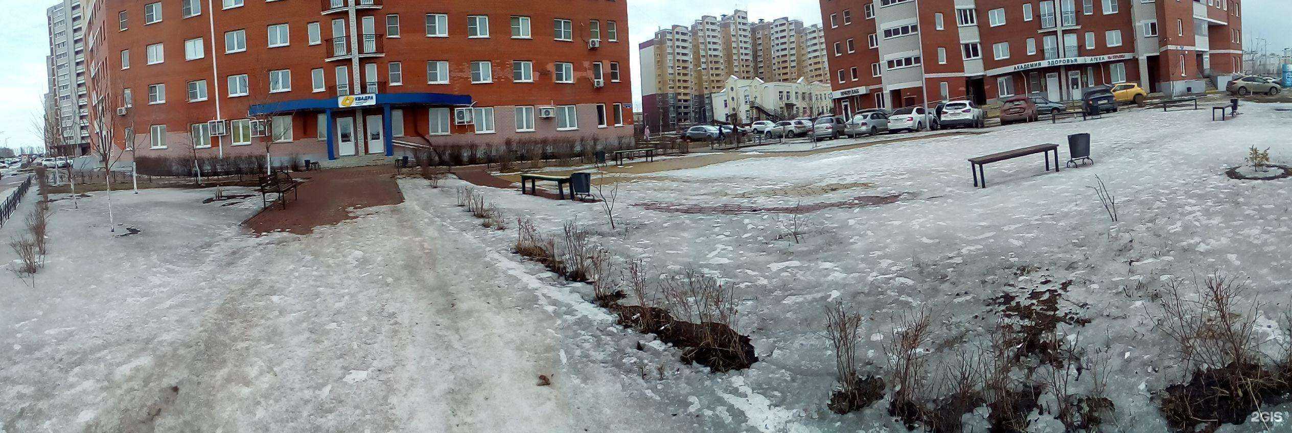 Отзывы на компанию Стальной лев в Липецке c фото - фотография 2 из 2