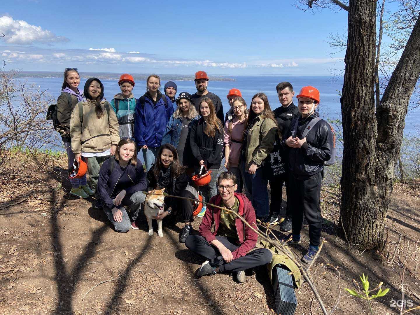 Отзывы на компанию Digital sharks в Казани c фото