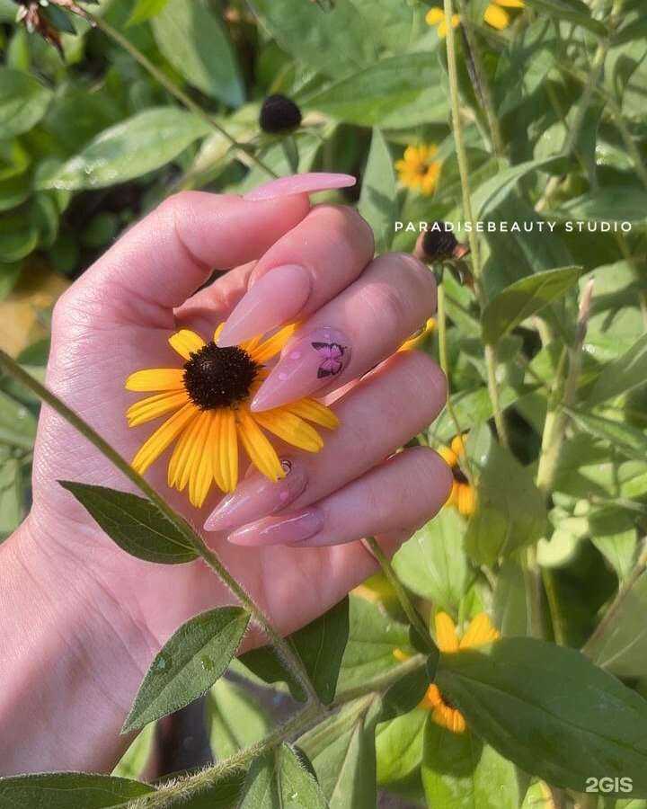 Отзывы на компанию Beauty Paradise в Сочи c фото