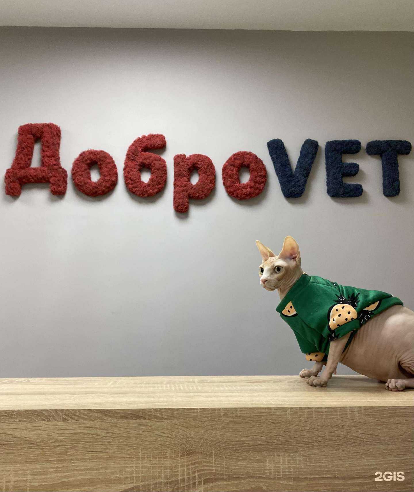 Отзывы на компанию ДоброVet в г. Фокино c фото