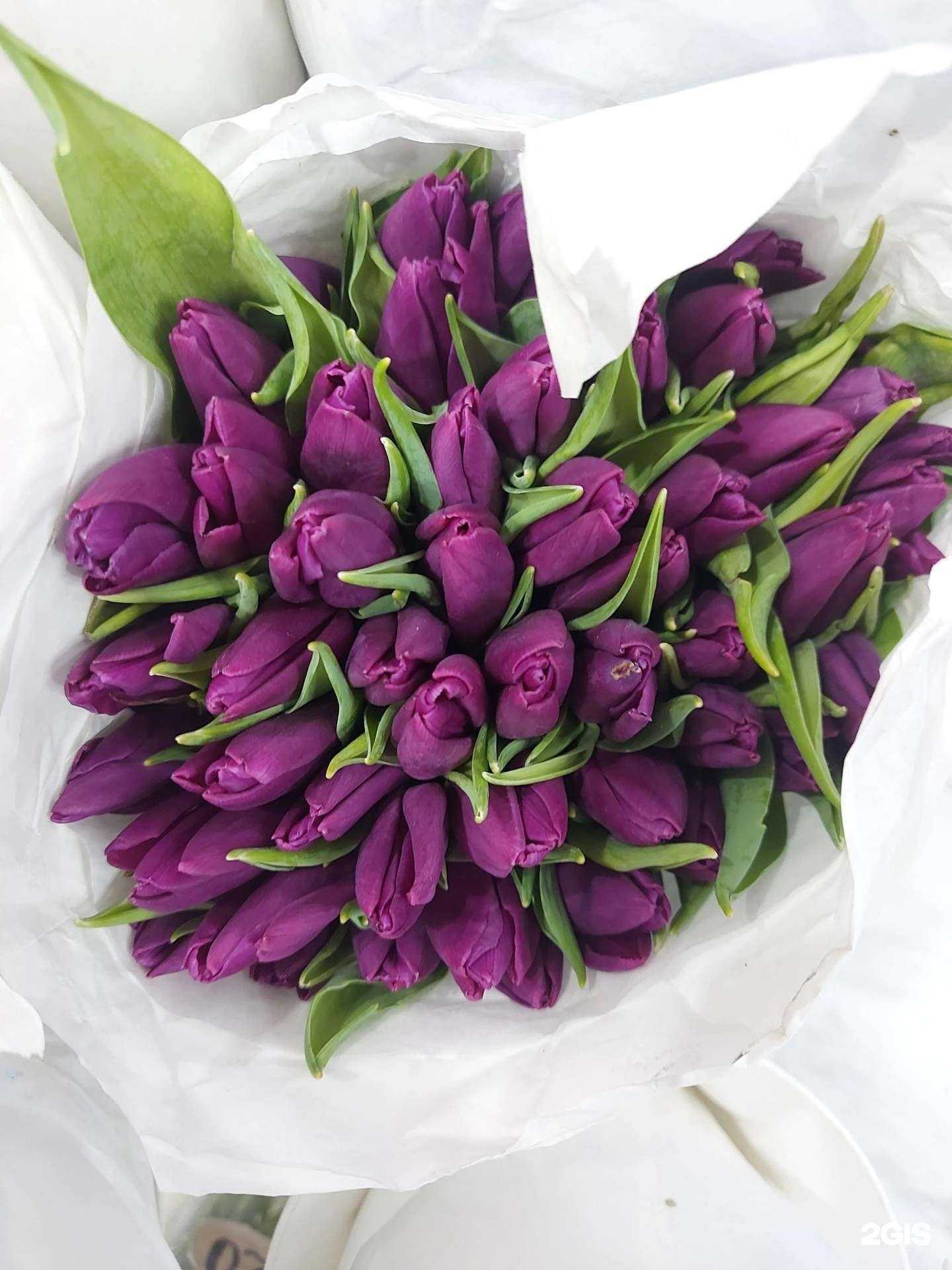 Отзывы на компанию Маки в Кирове c фото