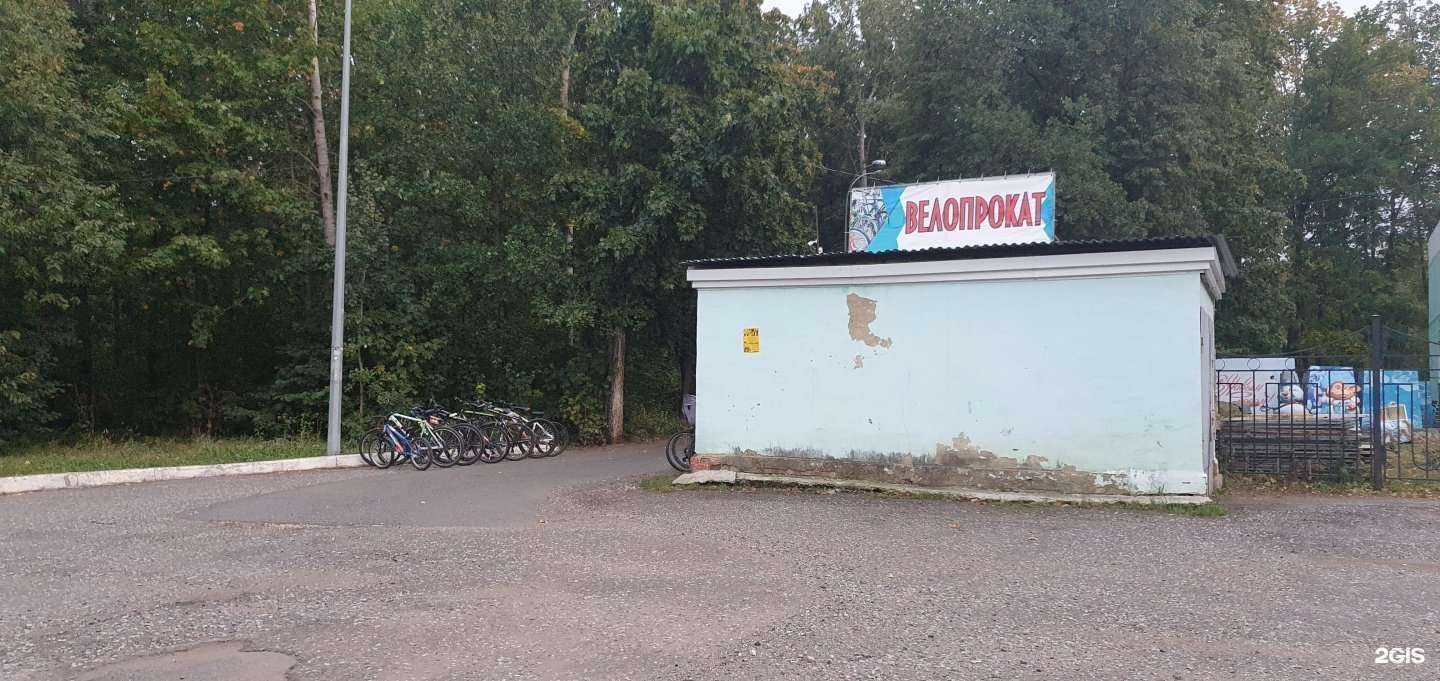 Отзывы на компанию Компания по прокату велосипедов в Саранске c фото
