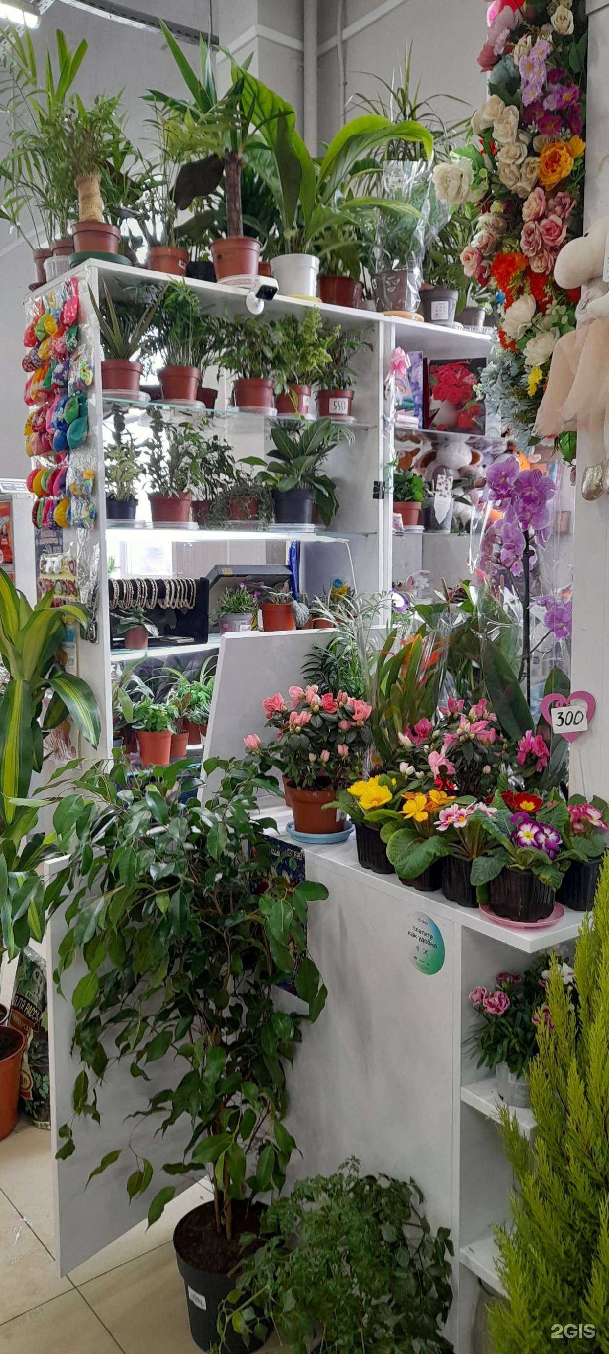 Отзывы на компанию Цветы от Ирины в Кургане c фото