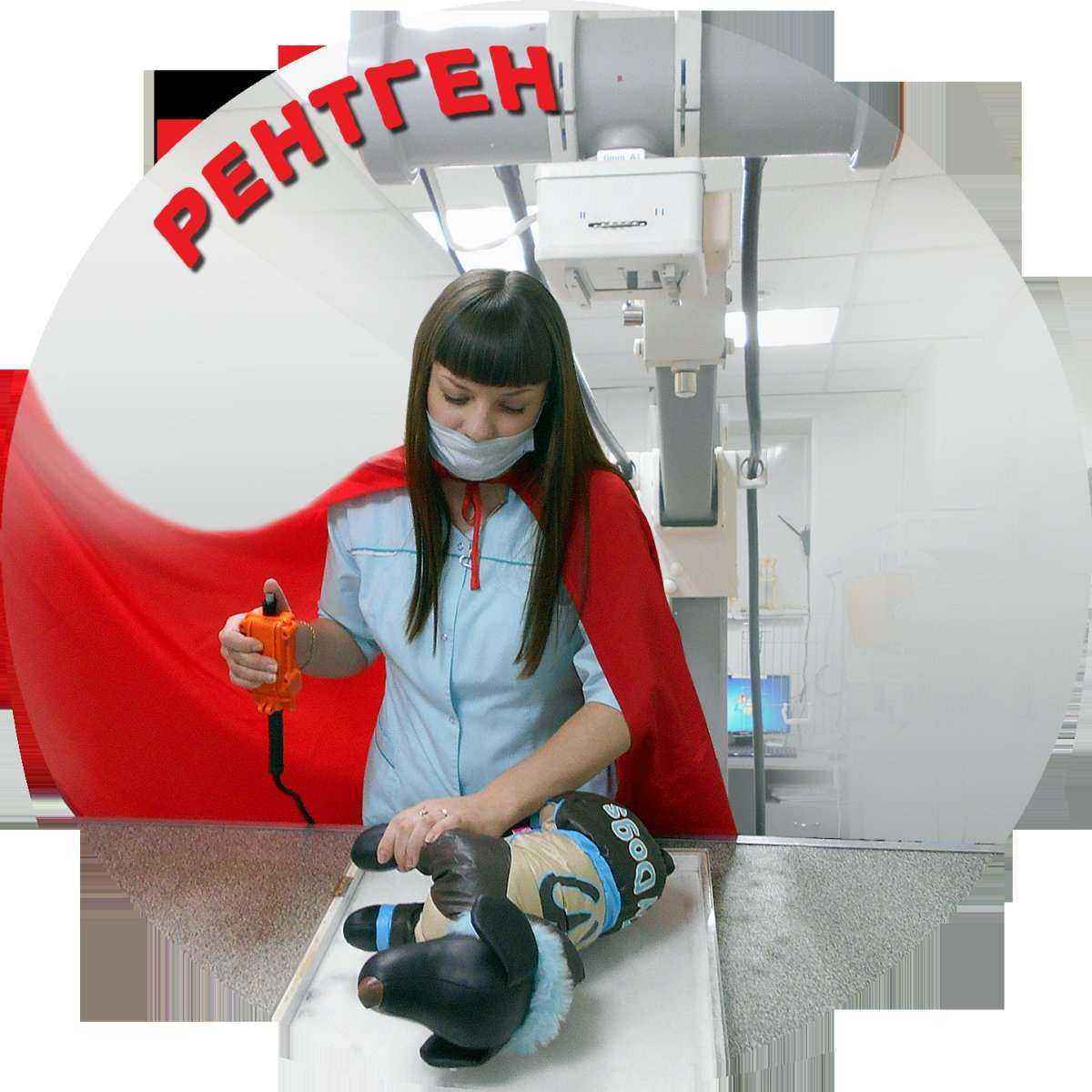 Отзывы на компанию Панацея в Челябинске c фото