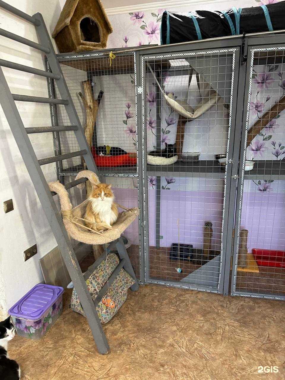 Отзывы на компанию Koshkin House в г. Самара c фото