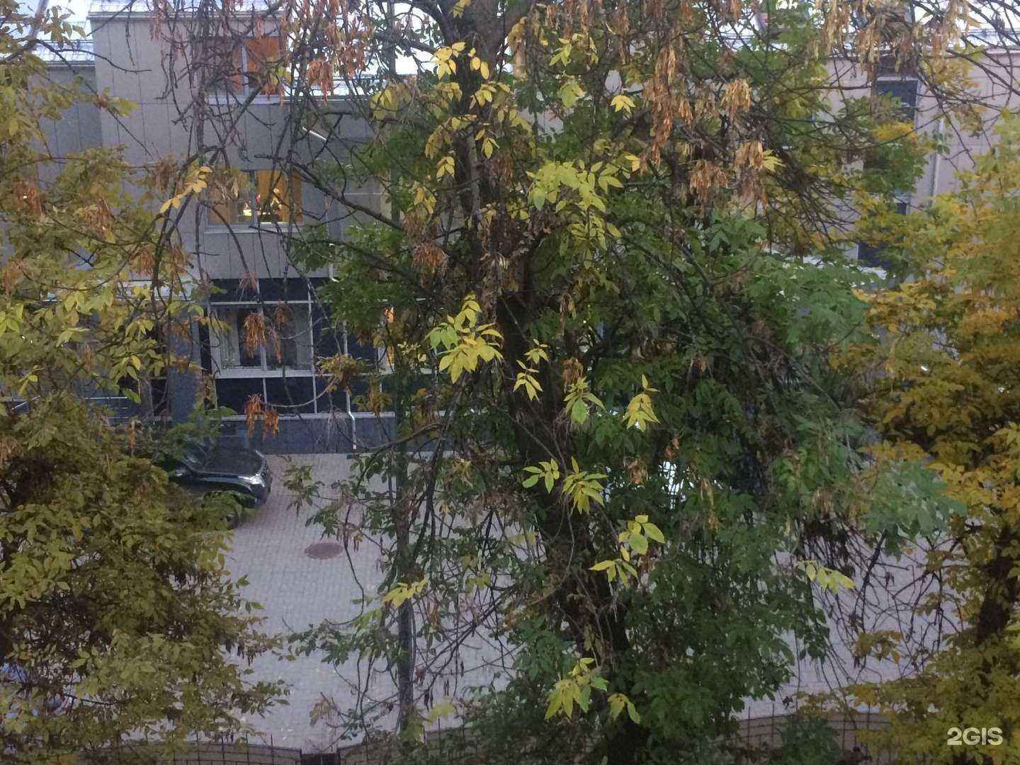 Отзывы на компанию Элекс в Рязани c фото - фотография 2 из 2