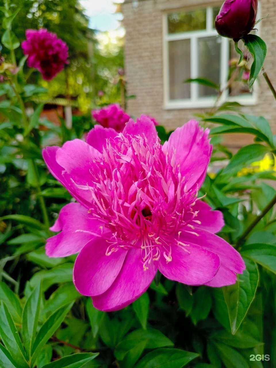 Отзывы на компанию Детский сад №33 в Уфе c фото