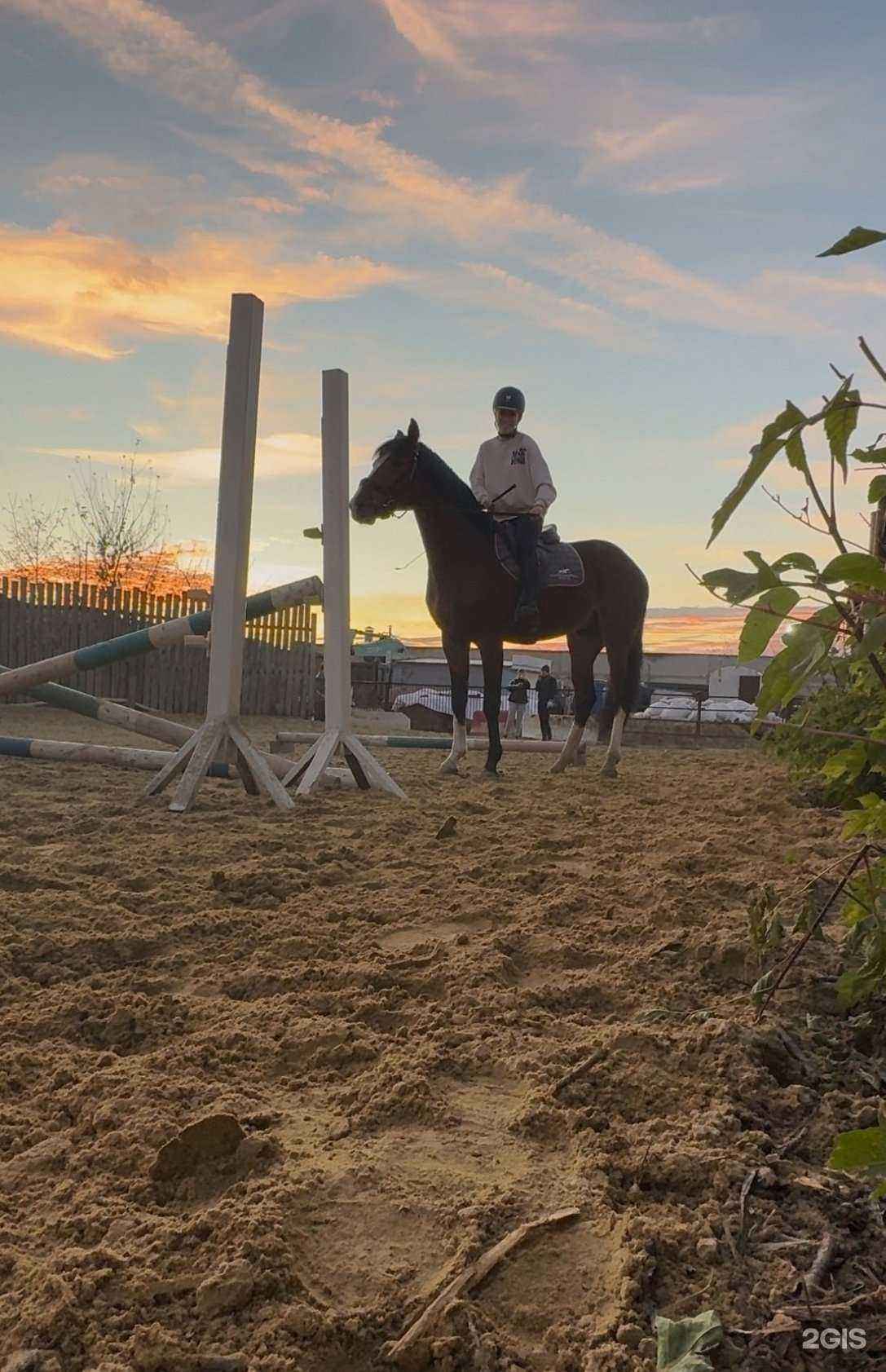 Отзывы на компанию Альманах в г. Тамбов c фото
