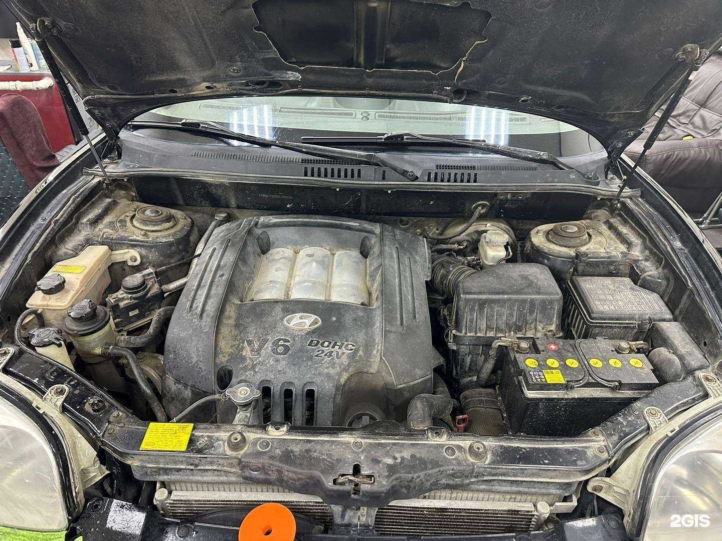 Отзывы на компанию Lion в Саратове c фото