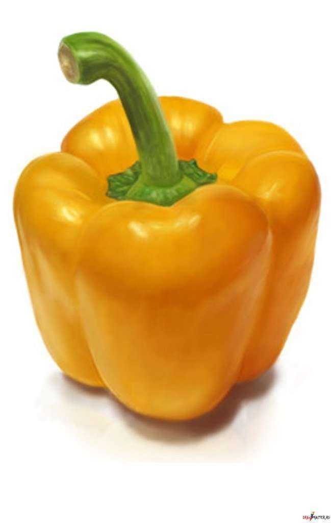 Отзывы на компанию Дайкоку в Смоленске c фото