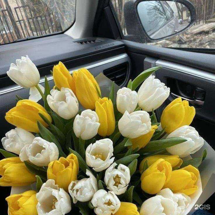 Отзывы на компанию Анкор в Новокуйбышевске c фото