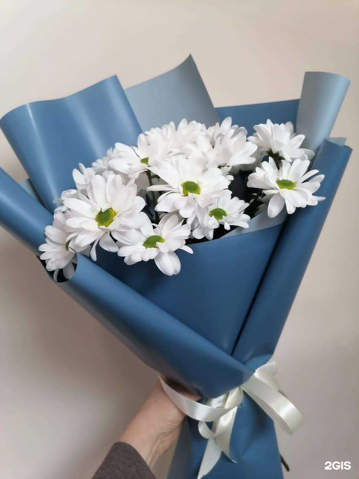 Отзывы на компанию Оливия в Краснодаре c фото