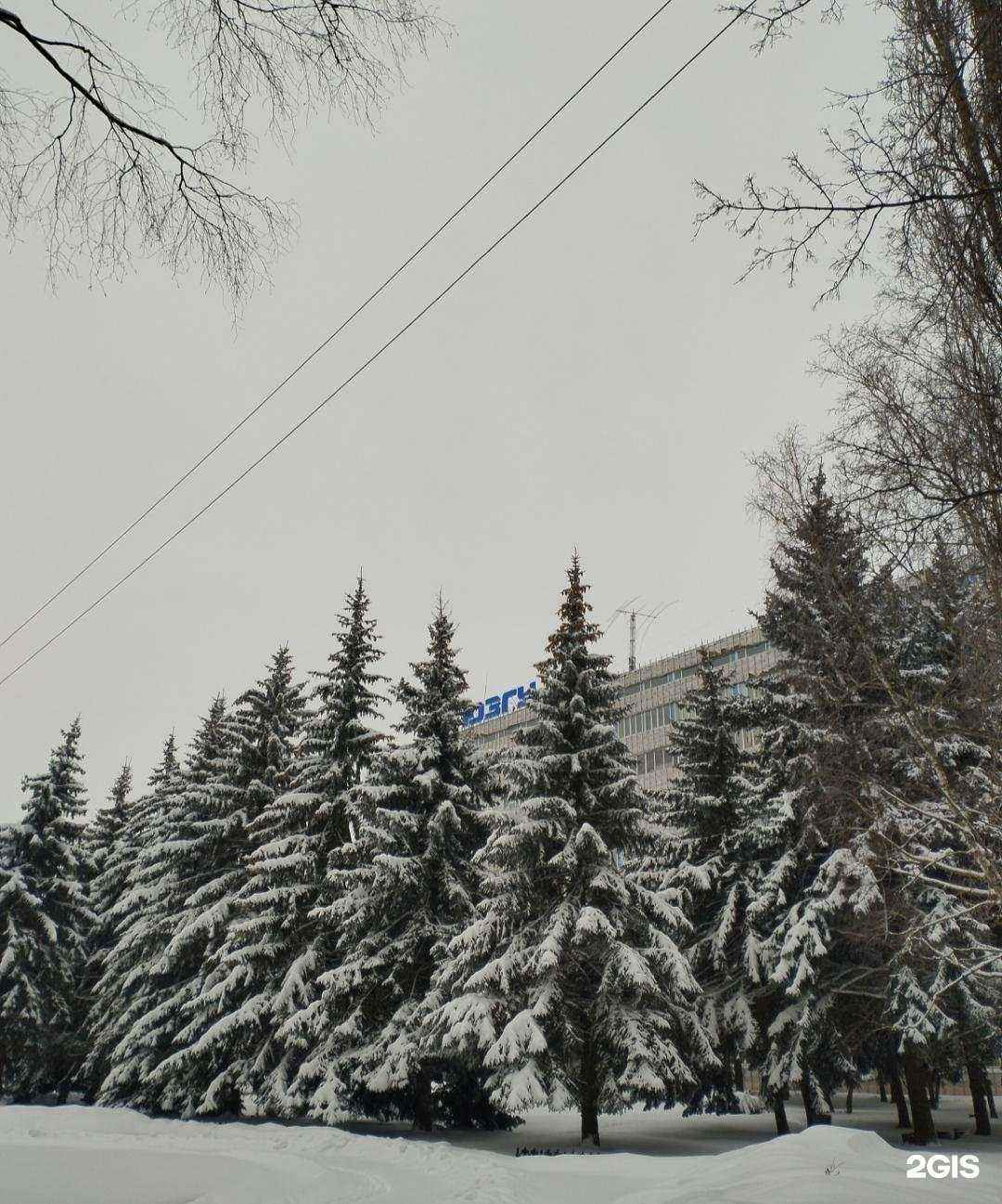 Отзывы на компанию Юго-Западный государственный университет в Курске c фото