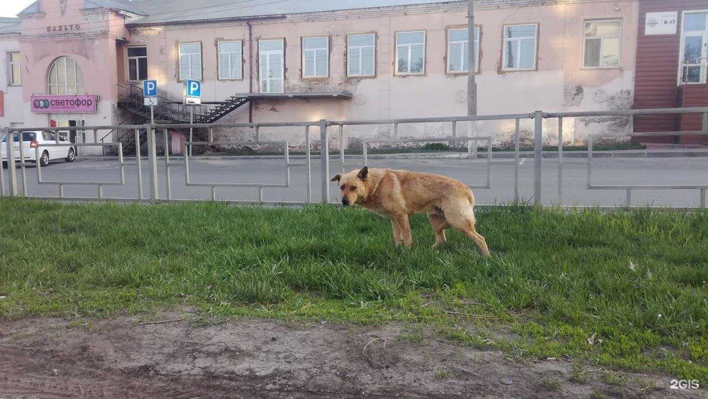 Отзывы на компанию Priz в Барнауле c фото - фотография 2 из 2