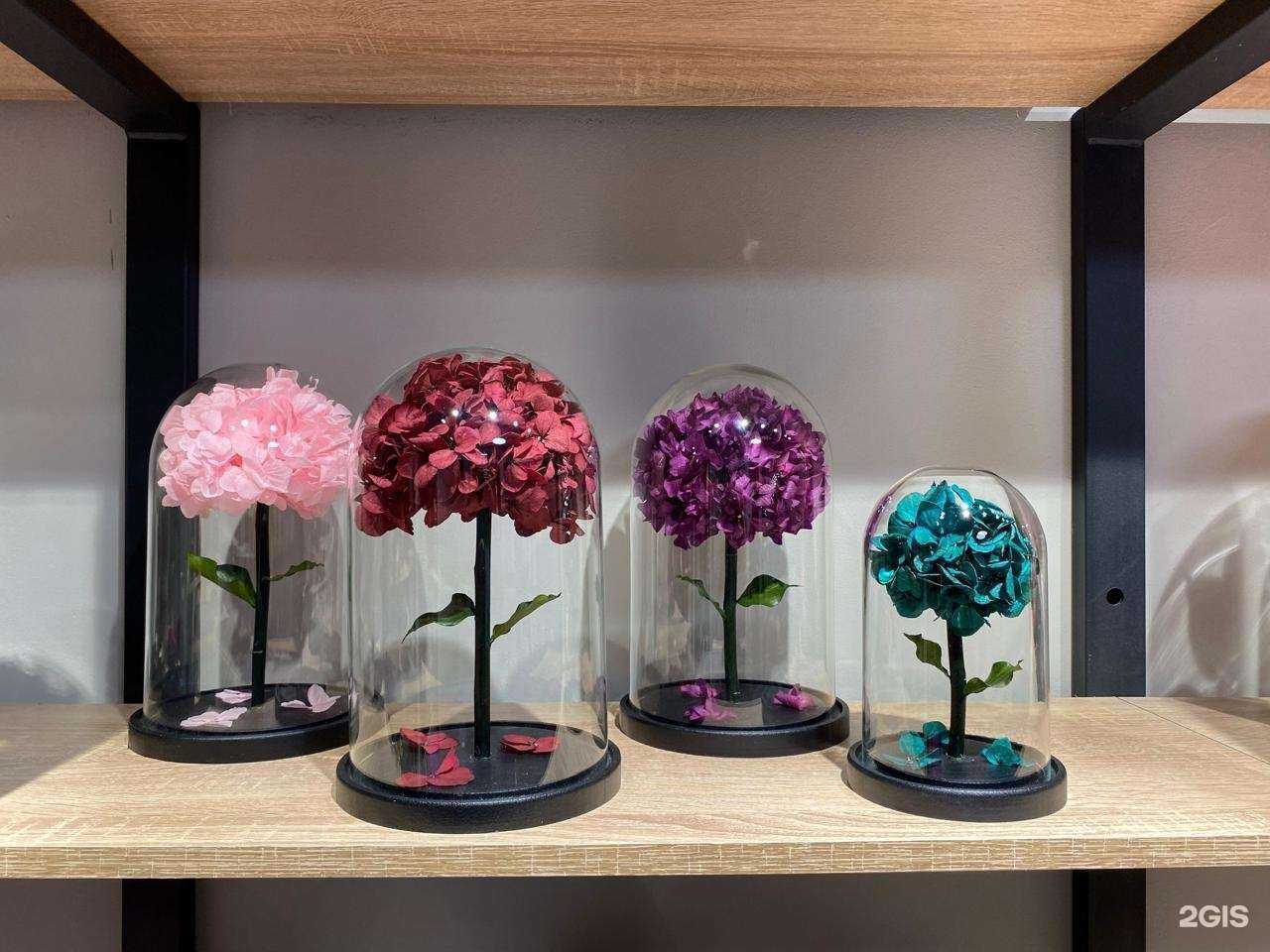 Отзывы на компанию Цветочное изобилие в Краснодаре c фото