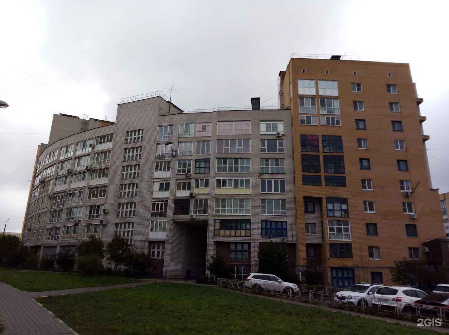 Отзывы на компанию Моська в Нижнем Новгороде c фото - фотография 2 из 2