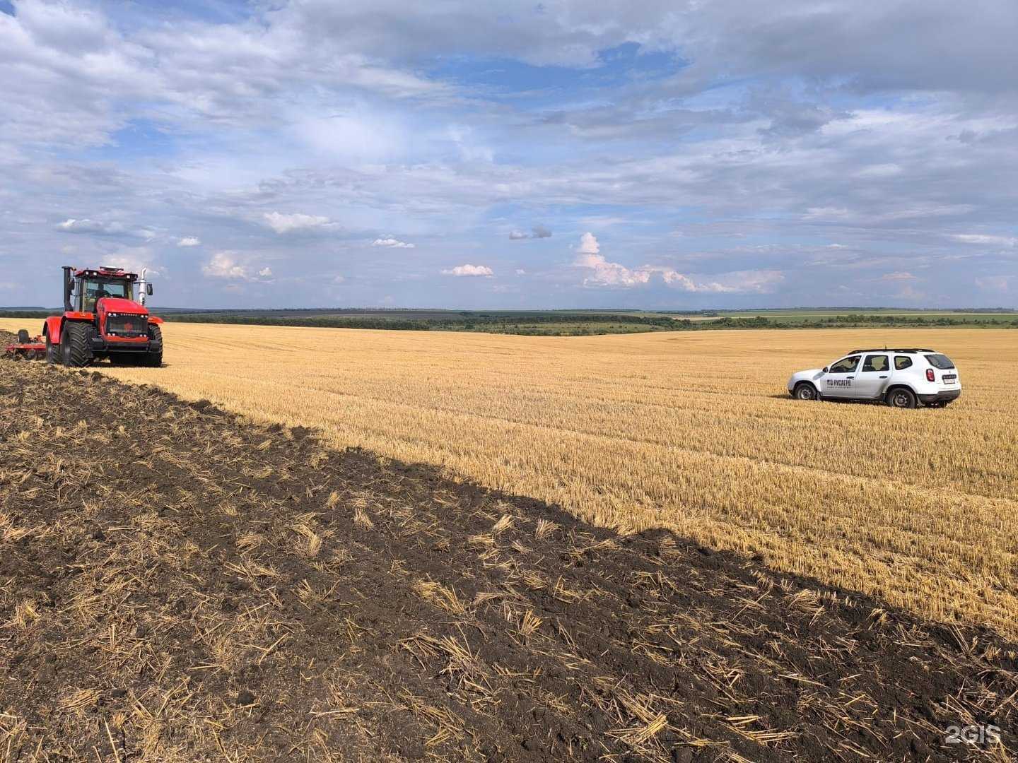 Отзывы на компанию Бизнес-Гарант в г. Курск c фото