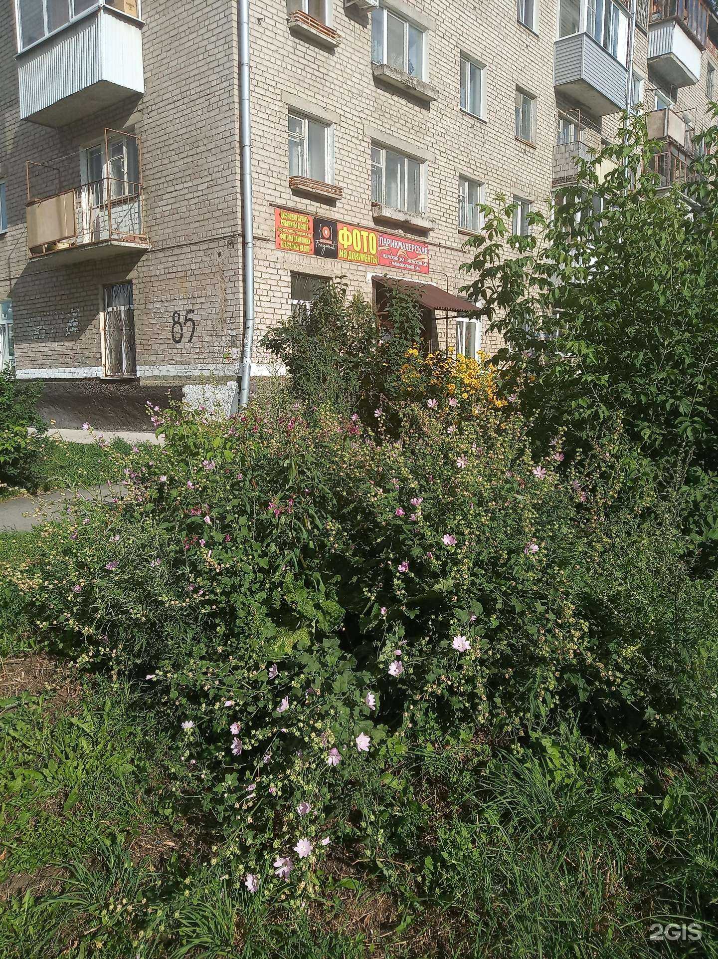 Отзывы на компанию Фея в Перми c фото