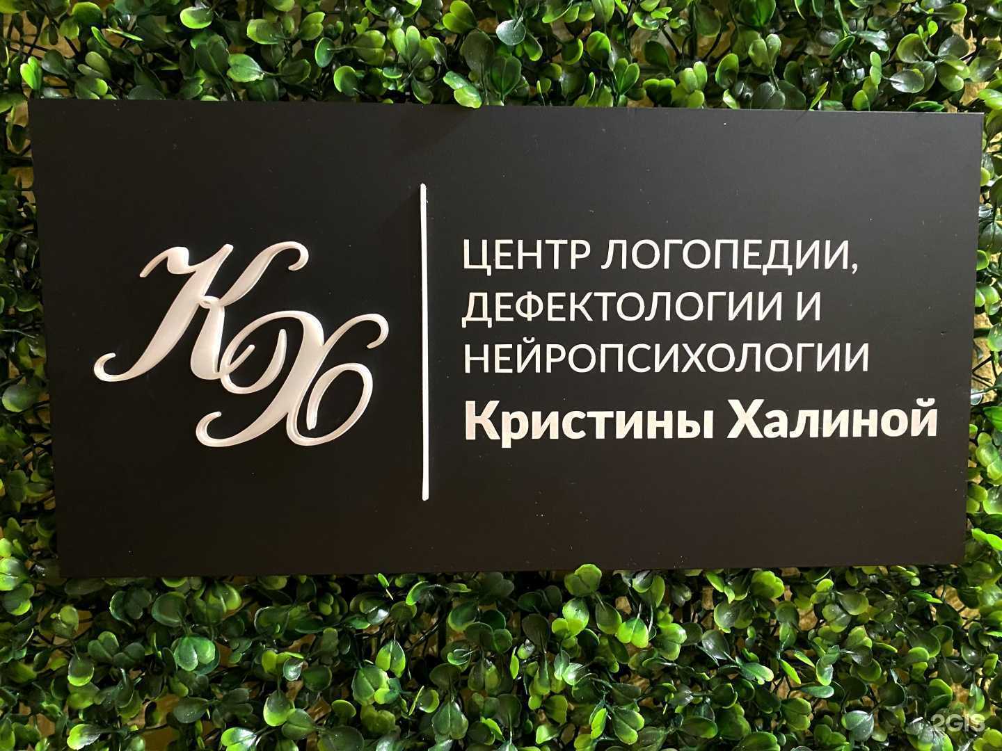 Отзывы на компанию Центр логопедии, дефектологии и нейропсихологии Кристины Халиной в г. Тюмень c фото