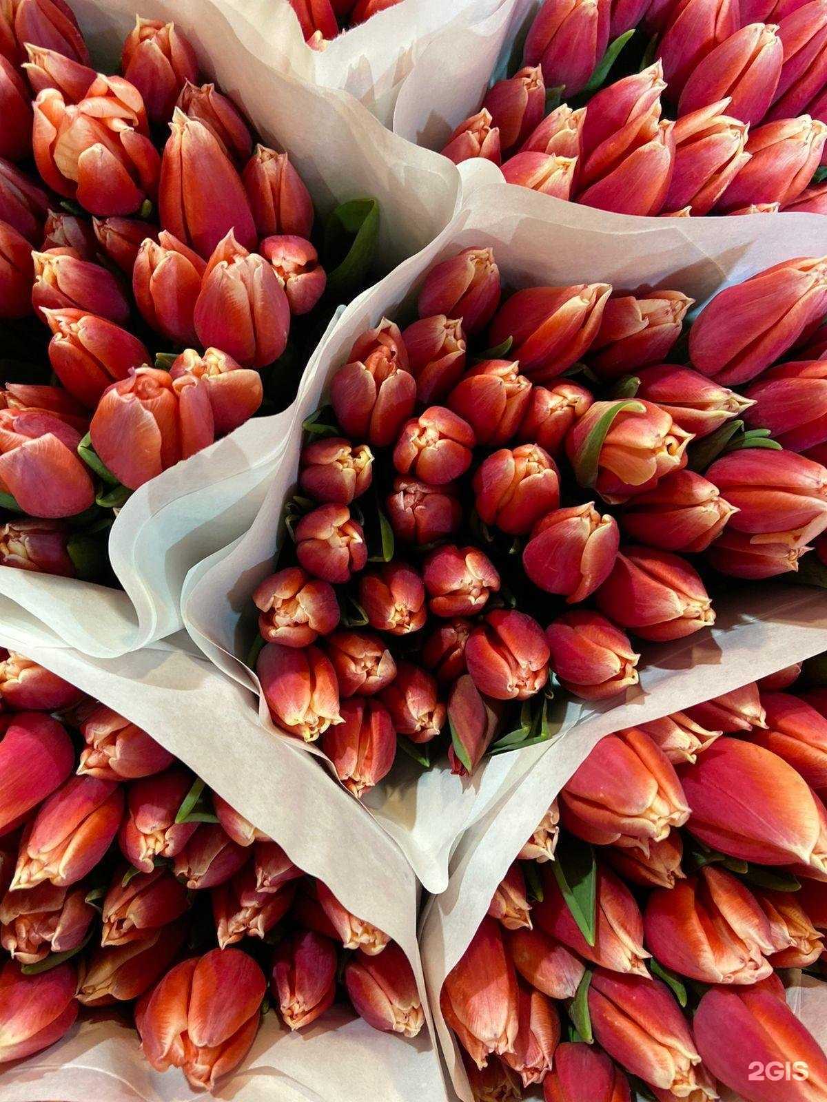 Отзывы на компанию Флорис в Бийске c фото