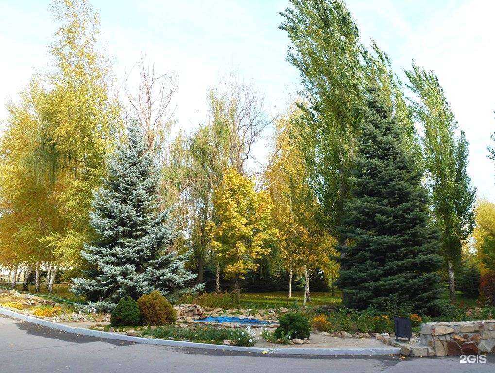 Отзывы на компанию РЖД-Медицина в г. Волгоград c фото