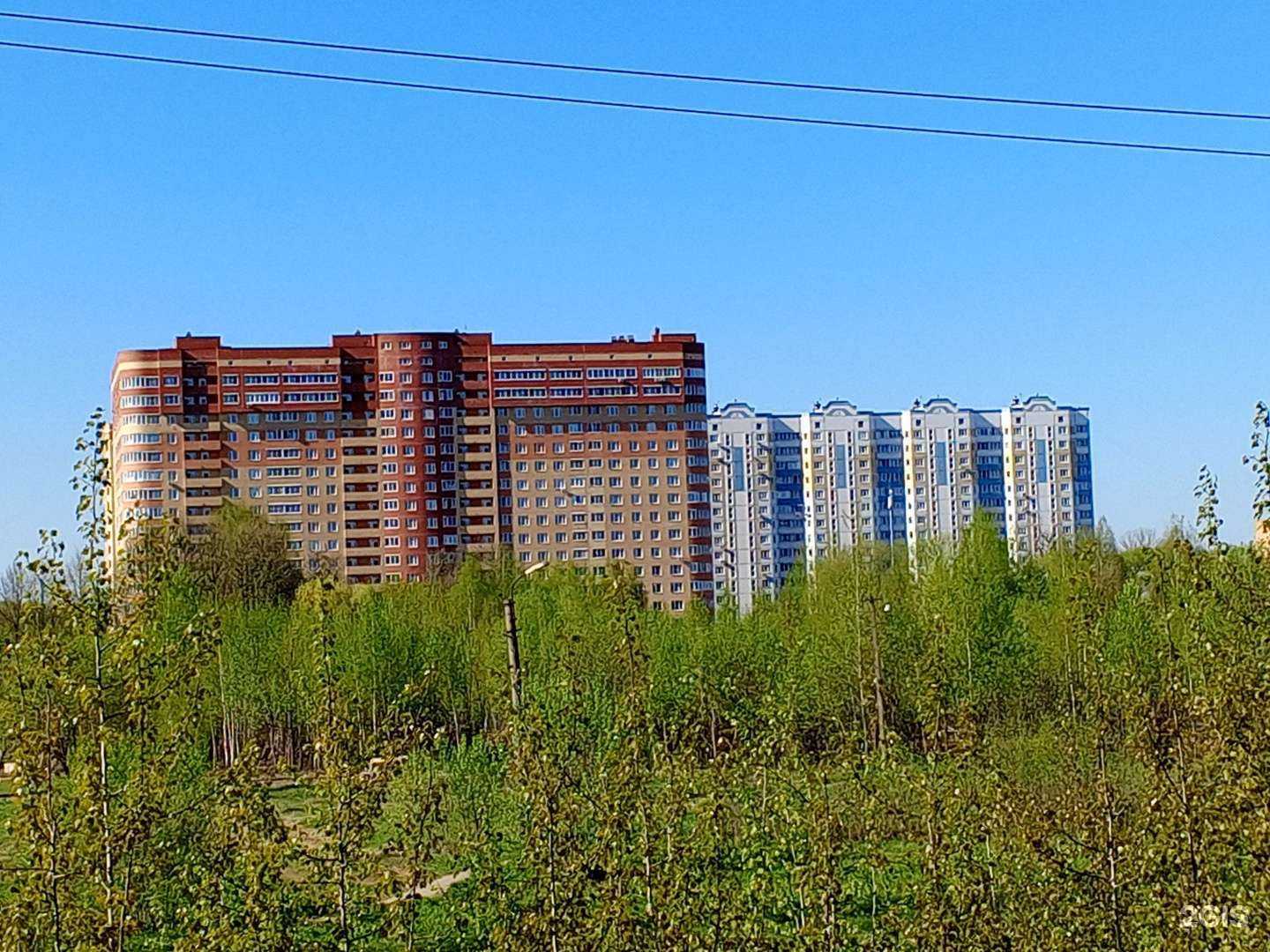 Отзывы на компанию Грин Лайн в г. Химки c фото