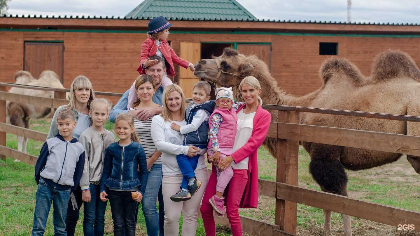 Отзывы на компанию Золотая орда в г. Томск c фото