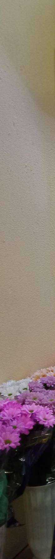 Отзывы на компанию Магазин цветов39 в г. Калининград c фото