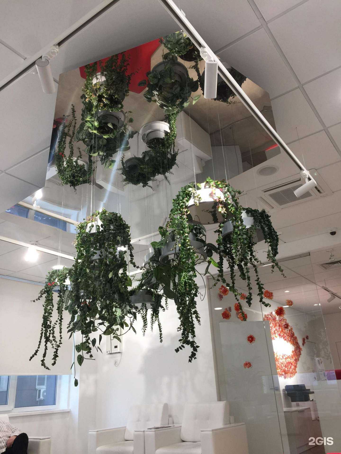 Отзывы на компанию Стоматика в г. Новосибирск c фото