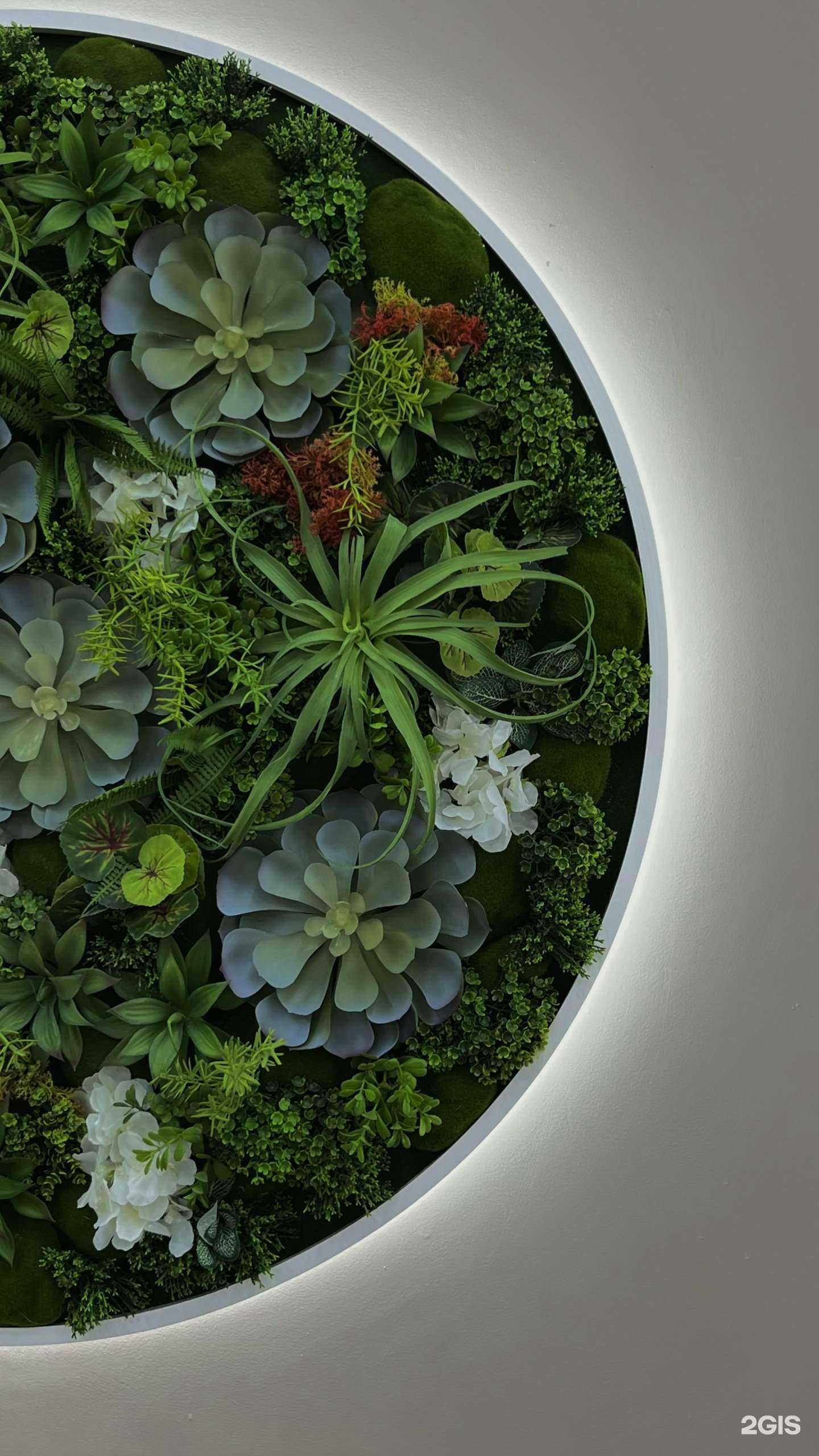 Отзывы на компанию VP STUDIO в Уссурийске c фото