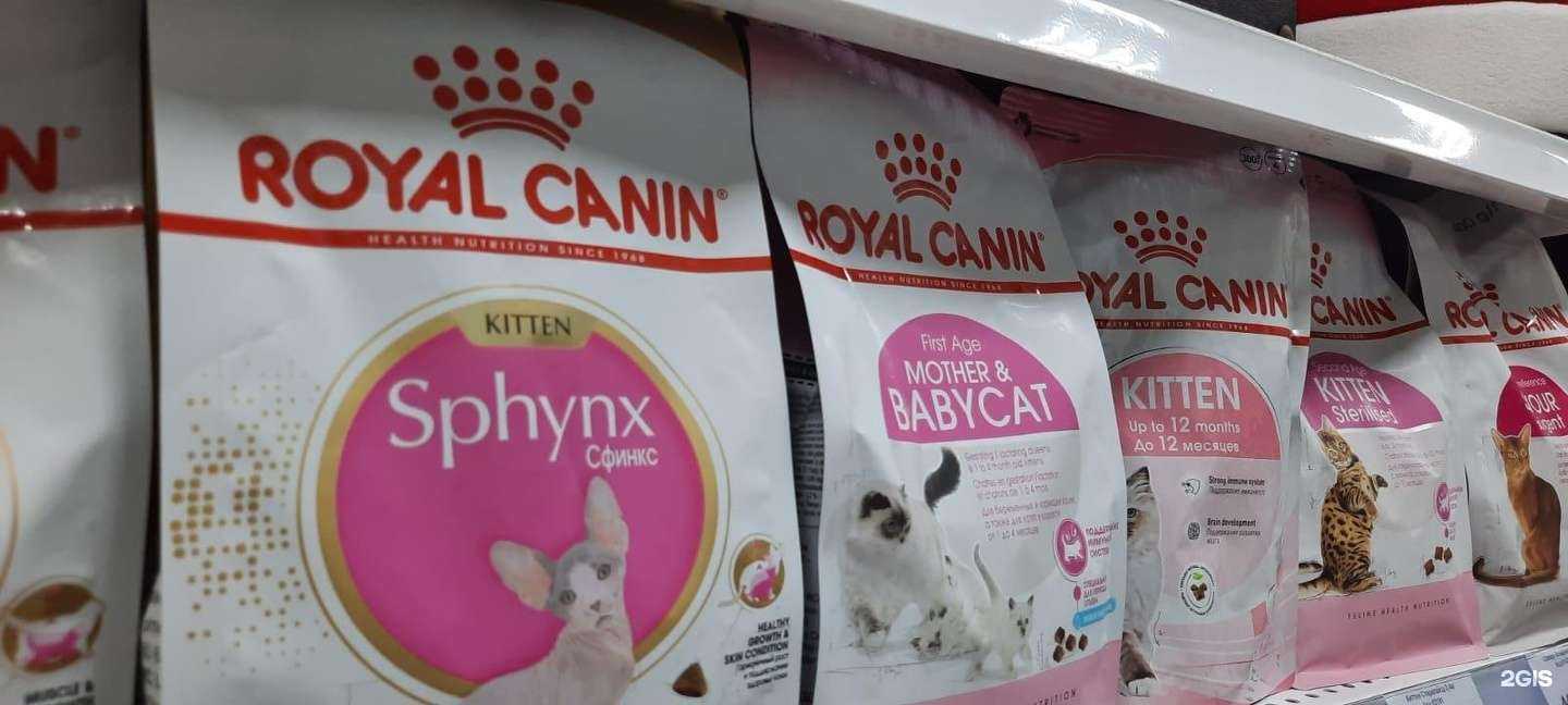 Отзывы на компанию Др.Холли в Белгороде c фото