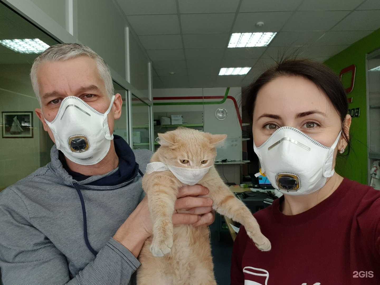 Отзывы на компанию АйТерра в Волжском c фото