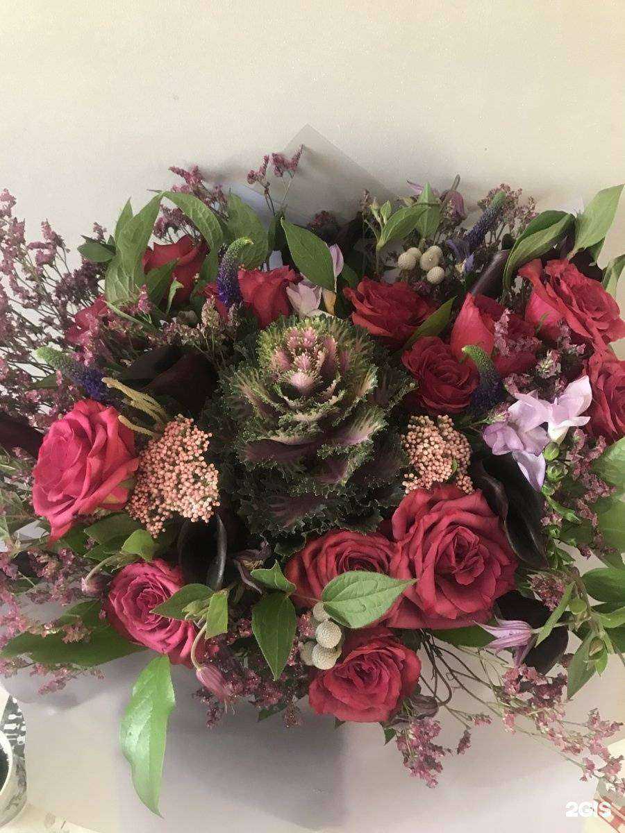 Отзывы на компанию Кактус в Омске c фото