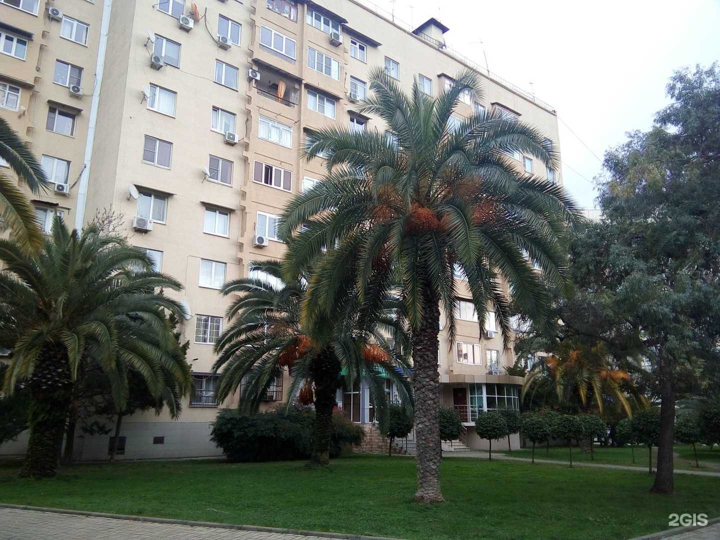 Отзывы на компанию Smartberry в г. Сочи c фото